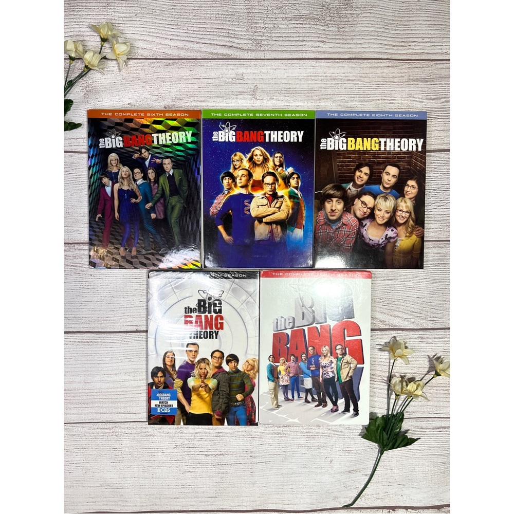 The Big Bang Theory Seasons 6-10 DVDs